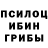 Галлюциногенные грибы Psilocybe Master Sh