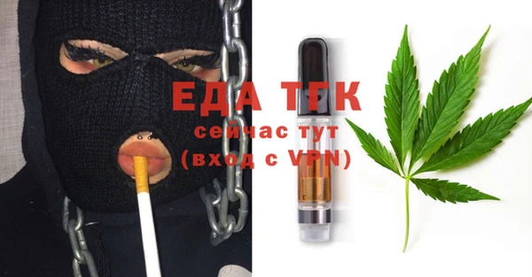 индика Козловка
