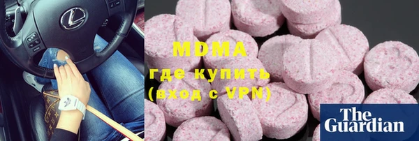 индика Козловка
