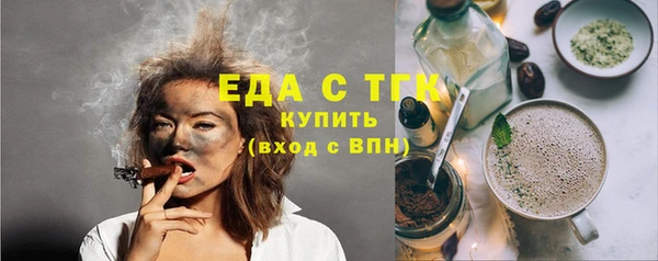 индика Козловка
